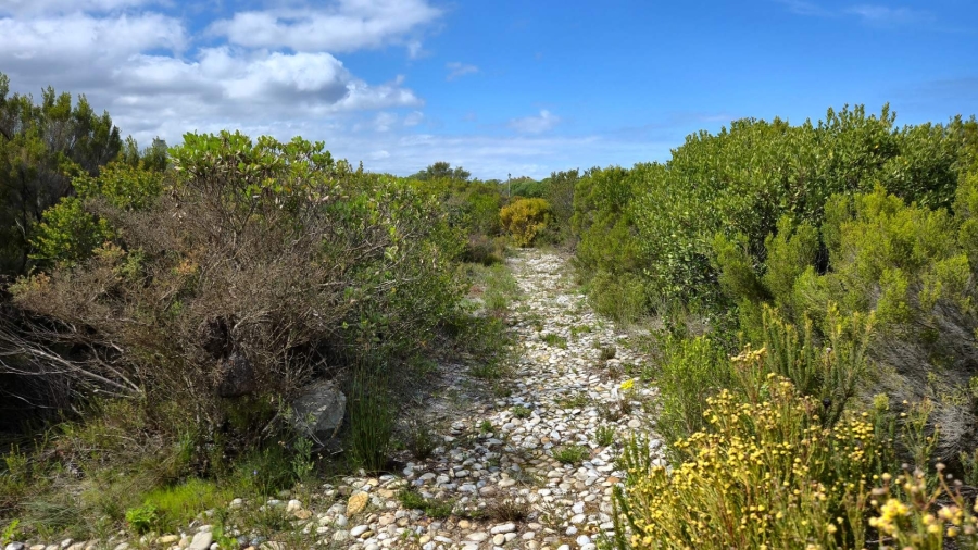 0 Bedroom Property for Sale in Franskraal Western Cape